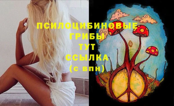a pvp Белоозёрский