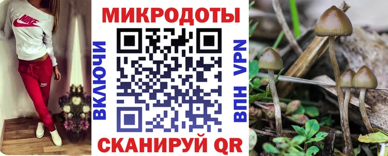 Псилоцибиновые грибы ЛСД  Купить  Березники 